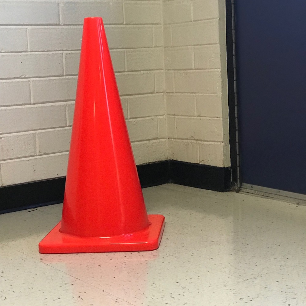 Meet your Posher, Maya